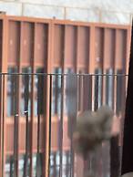 TotalApartments - Vervet Apartment Hotel