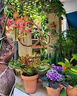 Residencial Casa Flor Atelier Botânico, Ponta Negra