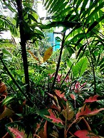 Residencial Casa Flor Atelier Botânico, Ponta Negra