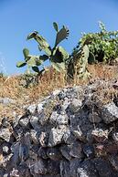 Kanava Cave Winery Villa