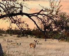 The Meadow-hill Country Sunset Views!