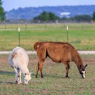 Verbena Waterfront With Hot Tub