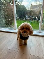 Captivating 2-bed Cottage in Kingsbarns