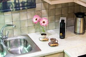 Blue Ark Exploring Athens