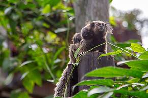 Chalés Magia do Campeche