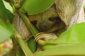 Caribbean Courtyard Villa