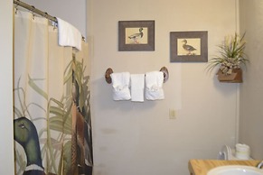 Echo Canyon Resort & Marina