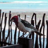 Pousada Ponta da Pedra