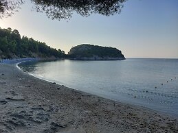 Maeiz Skopelos