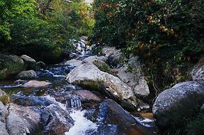 Du An Garden Retreat Forest