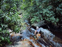 Du An Garden Retreat Forest