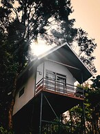 Wayand Whistling Woods