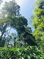 Wayand Whistling Woods