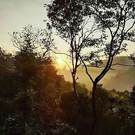 Wayand Whistling Woods