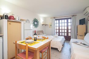 Mono Calamaro Eucalyptus 242