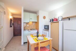 Mono Calamaro Eucalyptus 242