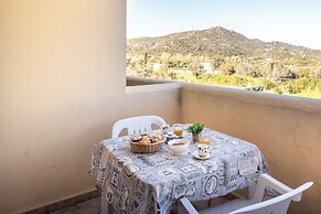 Mono Calamaro Eucalyptus 242