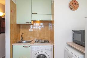 Mono Calamaro Eucalyptus 242