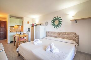 Mono Calamaro Eucalyptus 242