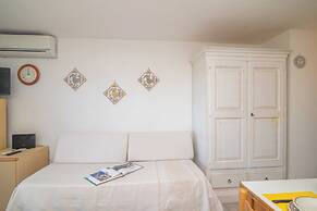 Mono Calamaro Eucalyptus 242