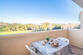 Mono Calamaro Eucalyptus 242