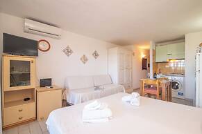 Mono Calamaro Eucalyptus 242