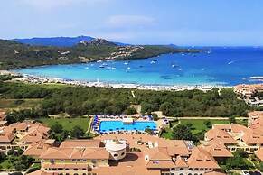 Mono Calamaro Eucalyptus 242