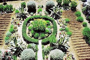 Ante - 60m From the sea - A2