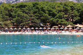 Goran - in the Center of the City - R1