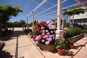 Nikola 1 - Free Parking - R7