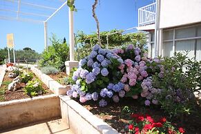 Nikola 1 - Free Parking - R7