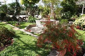 Nikola 1 - Free Parking - R7