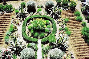 Ante - 60m From the sea - A4