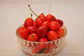 Ljuba - 130 Meter From sea - R7