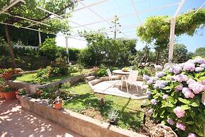 Nikola 1 - Free Parking - R4