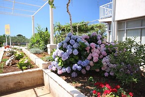 Nikola 1 - Free Parking - R4