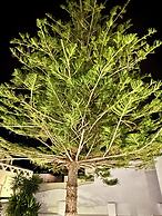 Santorini Miracles Suites, Adults Only