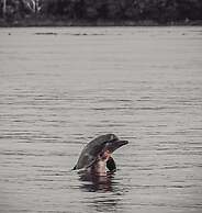 Hospedaje  Reina Arriera Amazonas