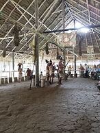 Hospedaje  Reina Arriera Amazonas