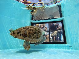 Fern Cottage 3bd 2ba Private Pool