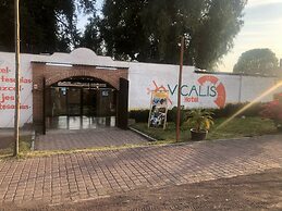 Vicalis