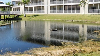 102 Natures way Unit 2303