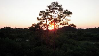 102 Natures way Unit 2303