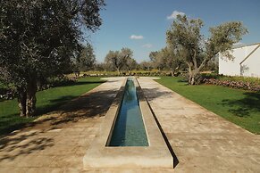 Secolario Masseria Del Viverbene