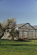 Secolario Masseria Del Viverbene