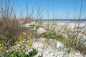 Colony Reef 3203