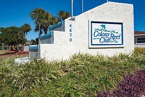 Colony Reef 3203