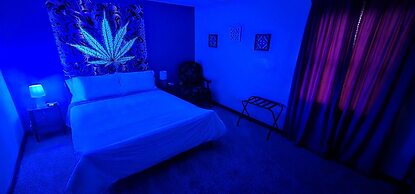 The Canna House by High Society Rentals