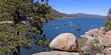 Fox Bear Cottages Big Bear