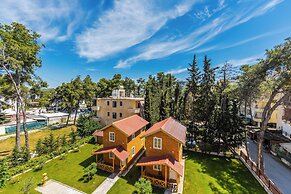 Mabel - The Rooftop Experience